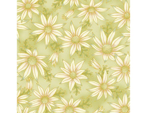 The Textile Pantry "Under the Australian Sun Collection - Flannel Flowers in Green" Fabric by Leesa Chandler