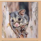 Devonstone Collection "Wildlife Art - Possum, Koala and Kookaburras" Australiana Fabric Panels by Natalie Jane Parker