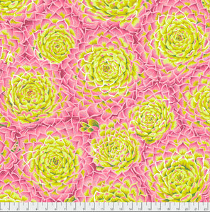 Free Spirit Fabrics - Kaffe Fassett Collective "Succulent in Lime" by Phillip Jacobs