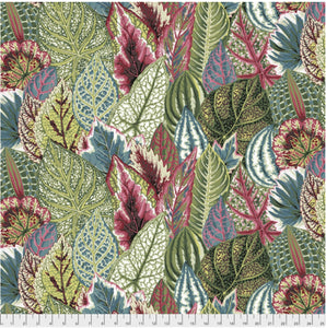 Free Spirit Fabrics - Kaffe Fassett Collective "Coleus in Green" by Phillip Jacobs