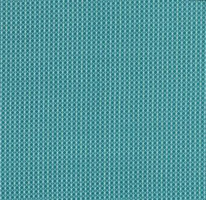 Cotton+Steel Collection "Netorious - in Teal" Fabric Designed by Alexa Marcelle Abegg